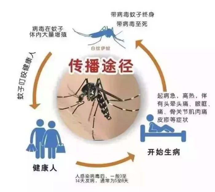 圖片 3.png
