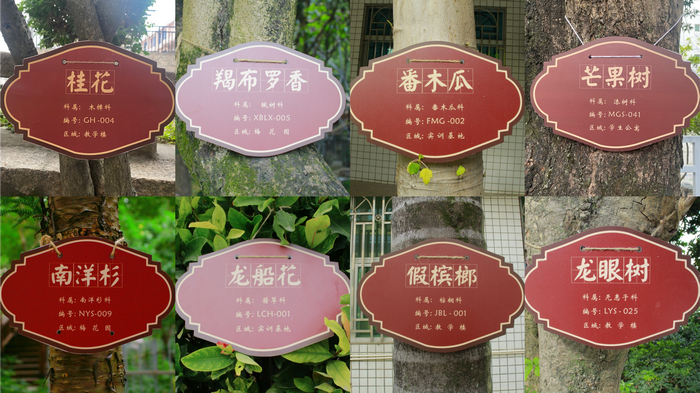 圖片 9.png