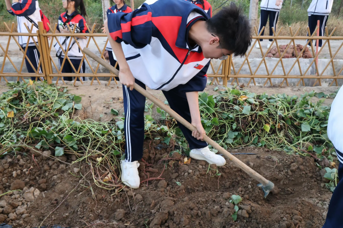 圖片 23.png
